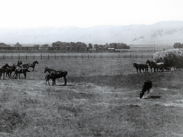 1800s hay fields