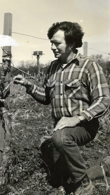 Bob Sangiacomo in the vineyard